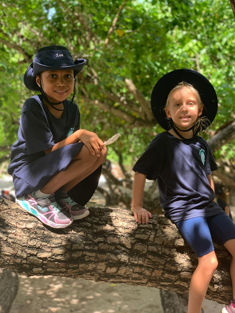 2b22ee_7680751a99774851b3aed7f4a9a15449~mv2